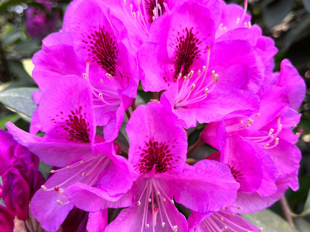 23-06-03 16-40-05 5791